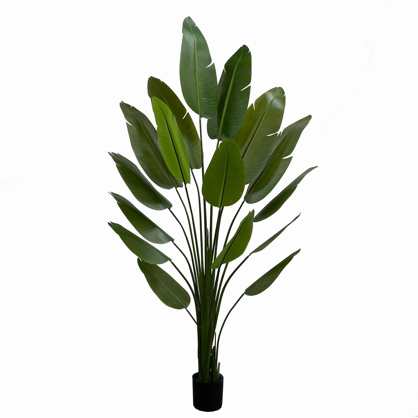 Outdoor/Indoor Succulents Potted Arrangement