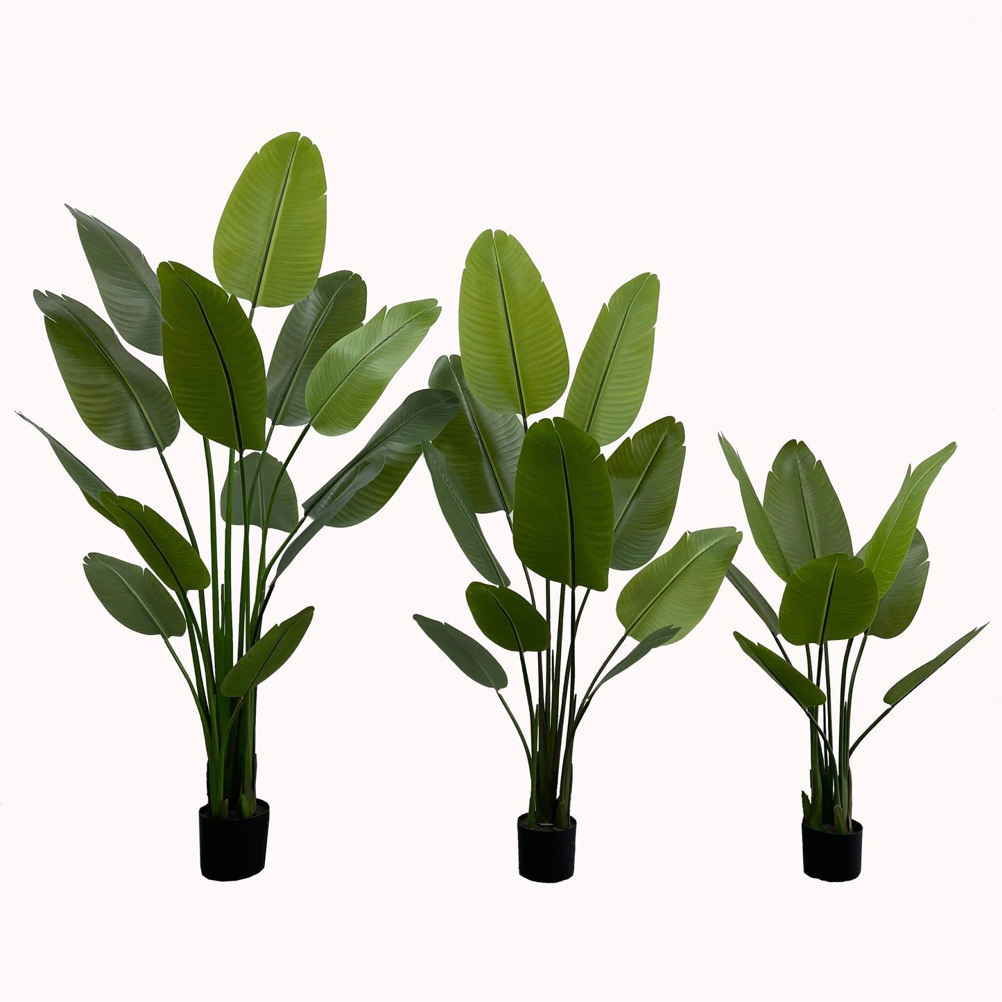 Outdoor/Indoor Succulents Potted Arrangement
