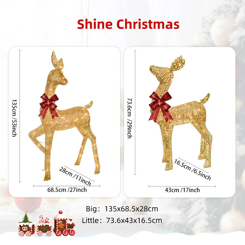 Lighted Christmas Reindeer (Set of 2)