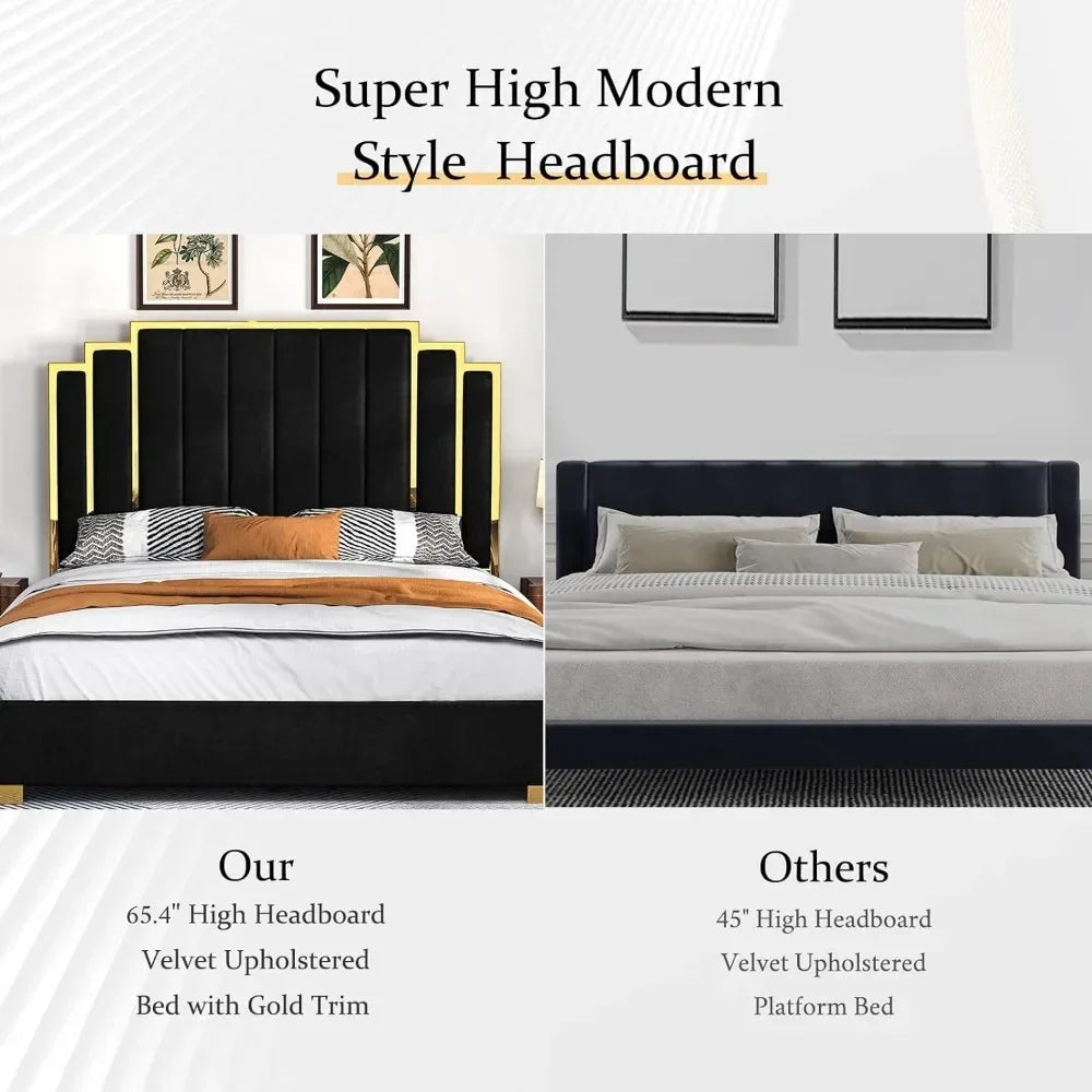 66in. Velvet Upholstered Bed with Gold Trim Headboard & Wooden Slats