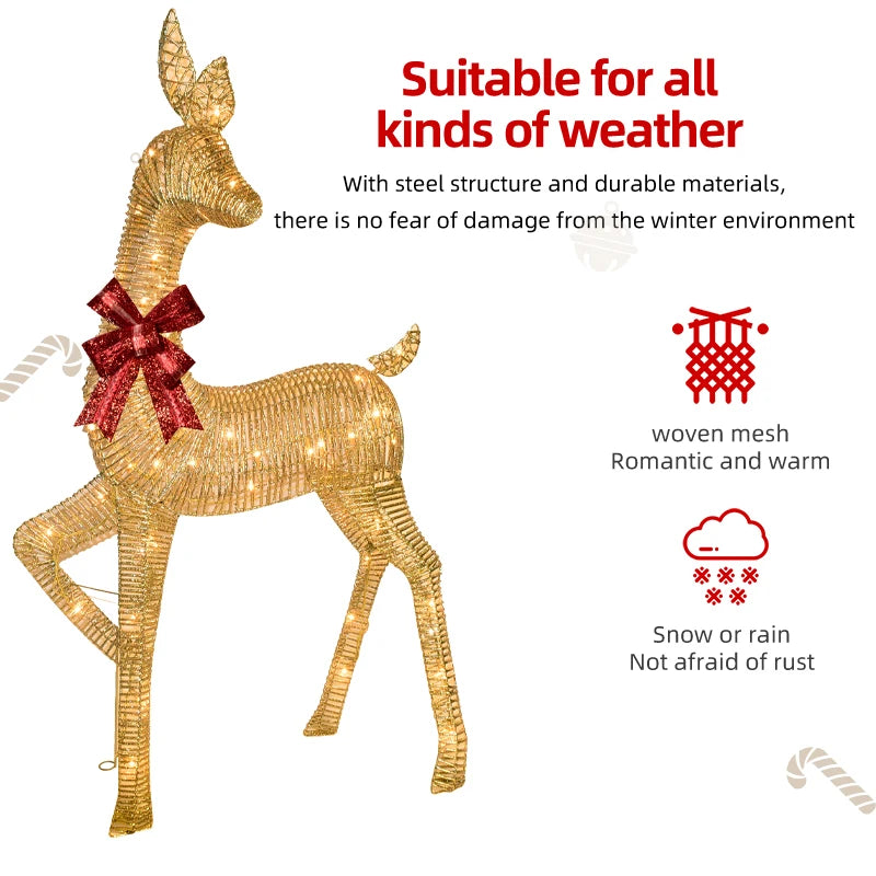 Lighted Christmas Reindeer (Set of 2)